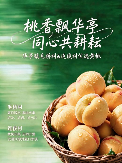 桃香飘华亭 同心共耕耘 · 华亭镇毛桥村&连俊村优选黄桃