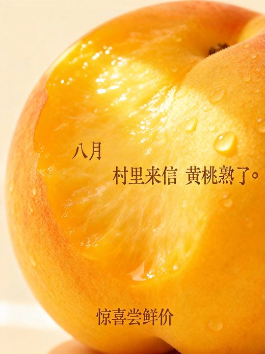 八月 村里来信 黄桃熟了 · 惊喜尝鲜价