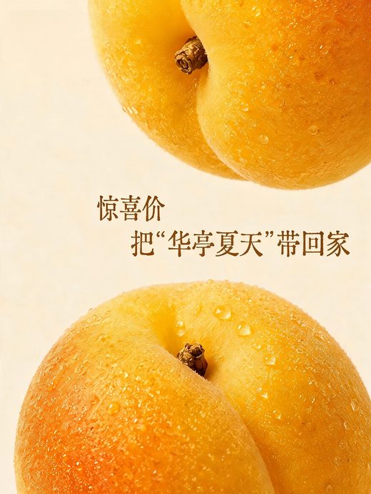树上黄桃 · 惊喜价 把「华亭夏天」带回家